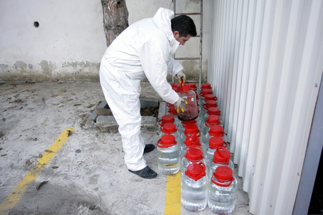 15-12/02/aa_picture_20151202_6949627_high