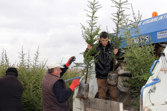 15-12/03/aa_picture_20151203_6960682_high