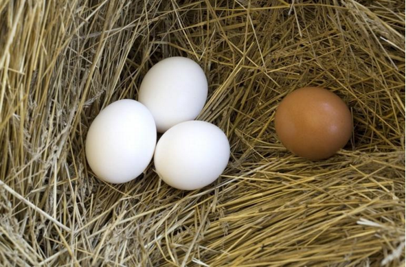 15-12/08/ekran-resmi-2015-12-08-150156