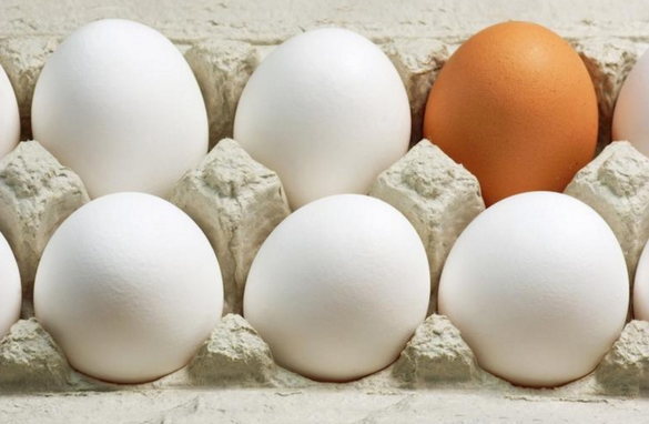 15-12/08/ekran-resmi-2015-12-08-150219