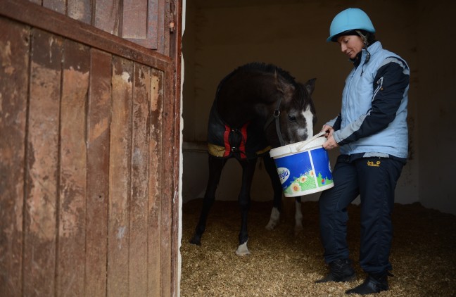 15-12/17/aa_picture_20151217_7075679_high