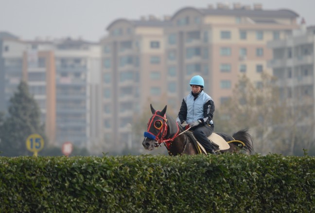 15-12/17/aa_picture_20151217_7075684_high