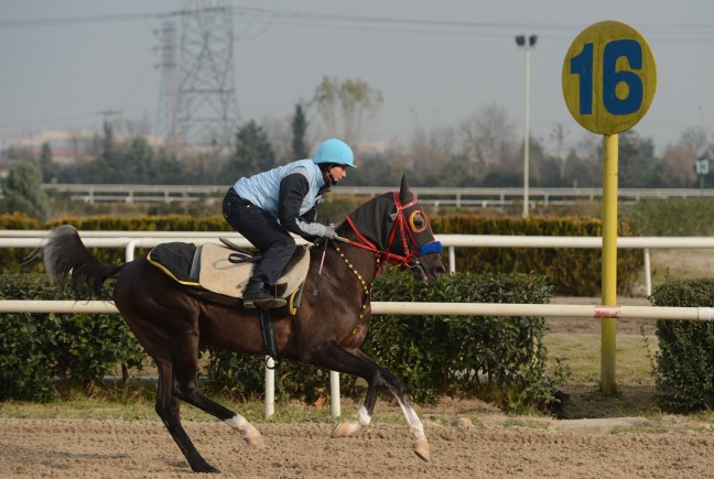 15-12/17/aa_picture_20151217_7075688_high