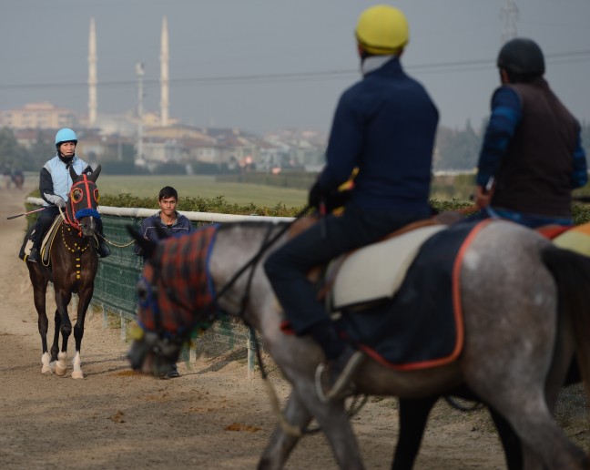 15-12/17/aa_picture_20151217_7075689_high