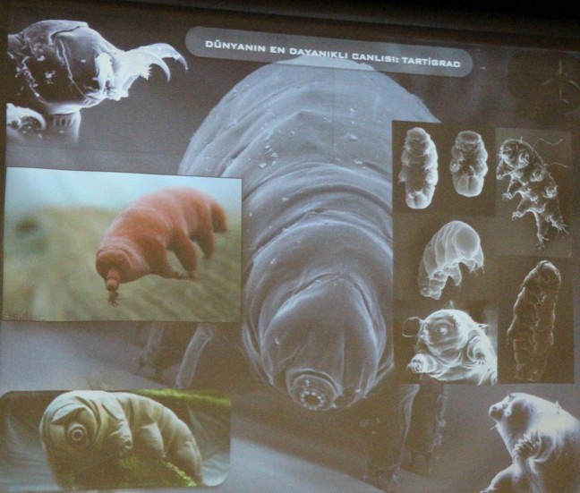 15-12/21/20151221aw610535_01