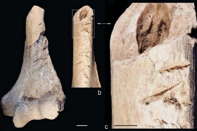 15-12/23/neolithic-war