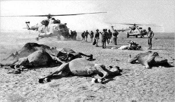 15-12/25/thompson-600