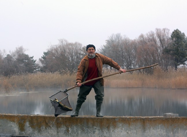 15-12/29/aa_picture_20151229_7170187_high