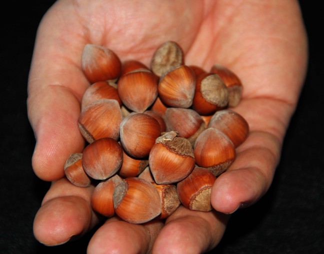 15-12/29/aa_picture_20151229_7171365_high-1