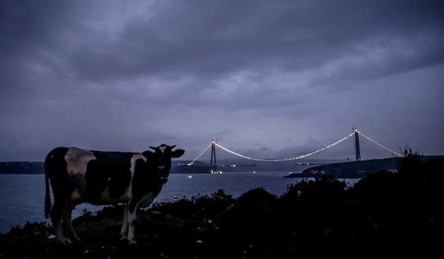 15-12/30/aa_picture_20151230_7176009_high