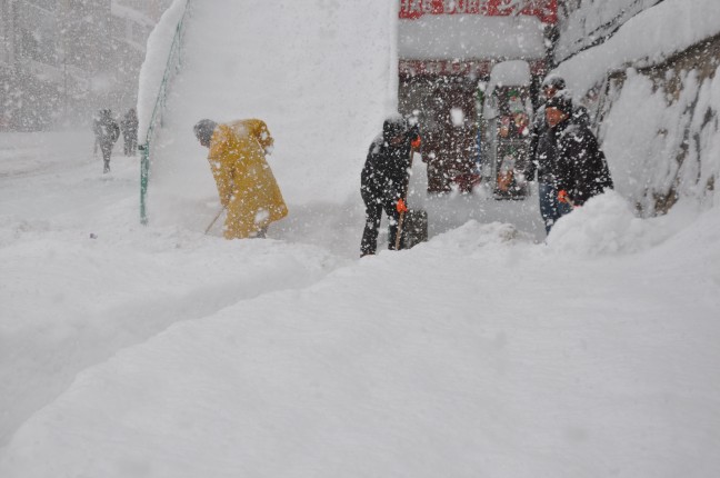 15-12/31/aa_picture_20151231_7183957_high