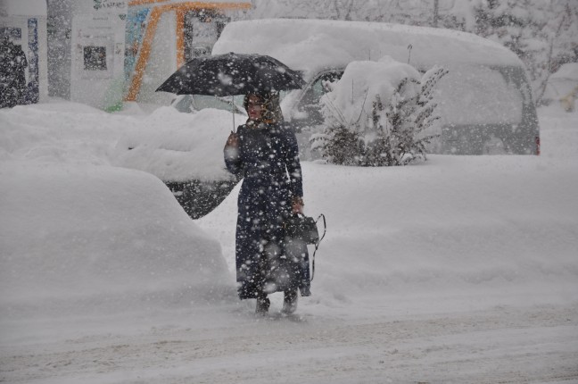 15-12/31/aa_picture_20151231_7183961_high