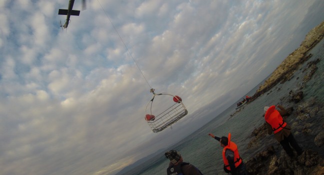 16-01/03/aa_picture_20160103_7203493_high