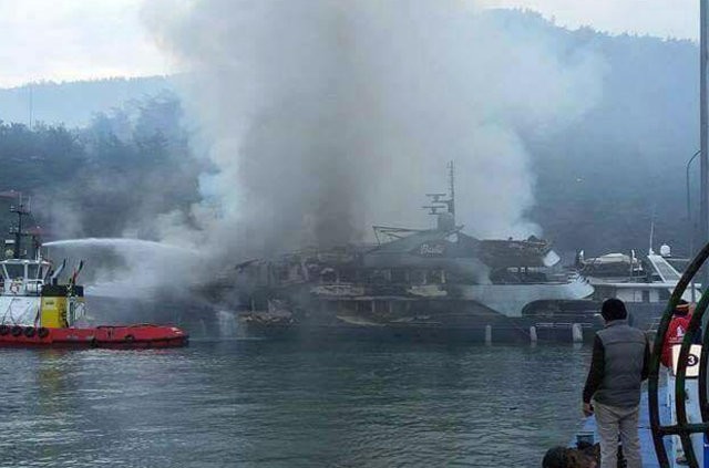 16-01/04/1176016_a4045f78d98158c4a3a2be2ca39987f7_640x640