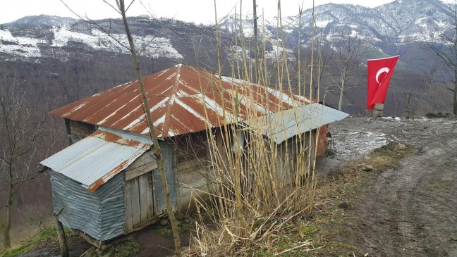 16-01/06/f25360d6ce713ed21173ea7f50bb04e2-1452091260