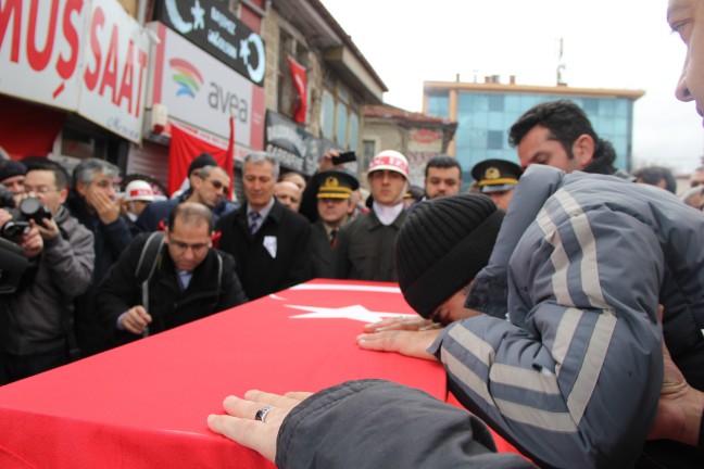 16-01/07/aa_picture_20160107_7237065_high