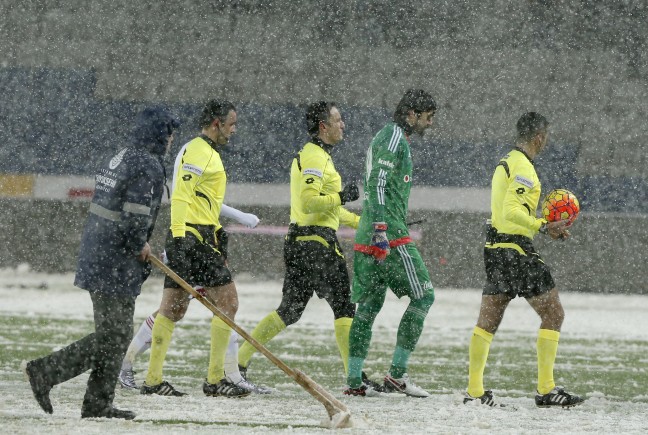 16-01/17/20160117_2_13846831_4648211