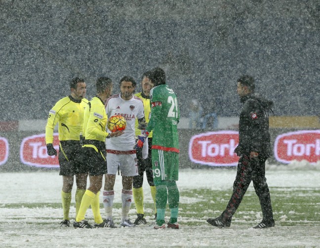 16-01/17/20160117_2_13846831_4648212