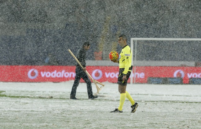 16-01/17/20160117_2_13846831_4648214