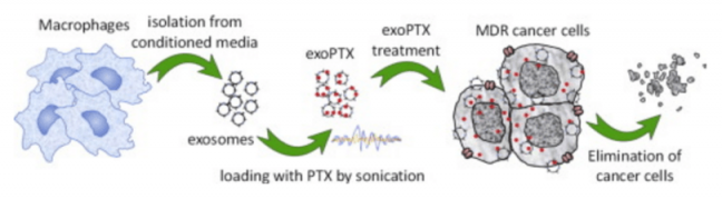 16-01/19/screen-shot-2016-01-18-at-114617-am