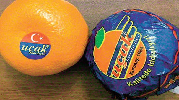 16-01/21/-ucak-mandalina-rusya-dan-dondu-6530421