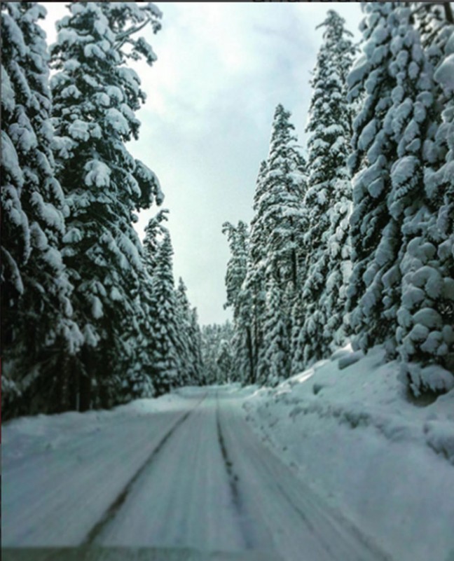 16-01/26/ceme-1453818859