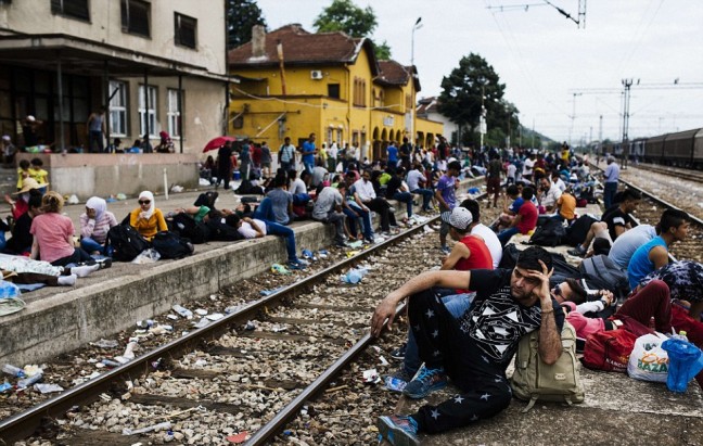 16-02/01/2b258ed200000578-0-image-a-43_1438869879798-1454337385