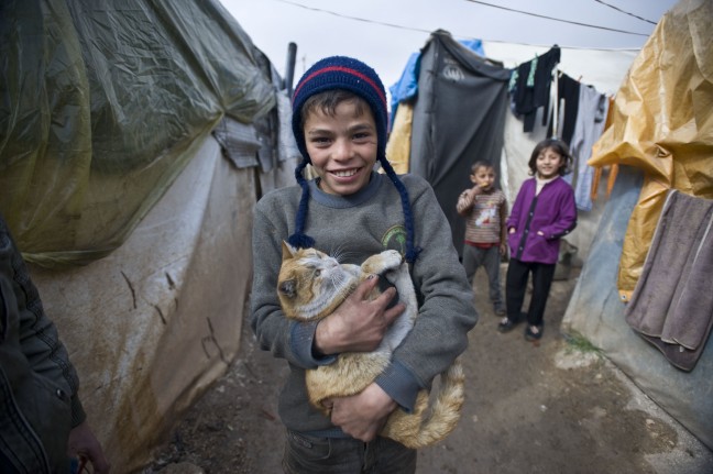 16-02/06/20160206_2_14143847_5216938