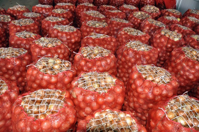 16-02/07/20160207_2_14152697_5238534