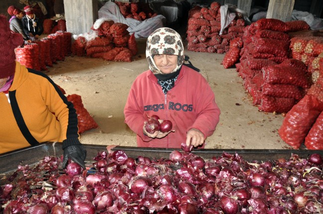 16-02/07/20160207_2_14152697_5238535