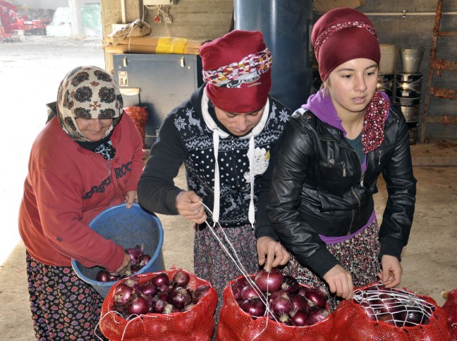 16-02/07/20160207_2_14152697_5238536