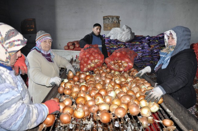 16-02/07/20160207_2_14152697_5238538-1