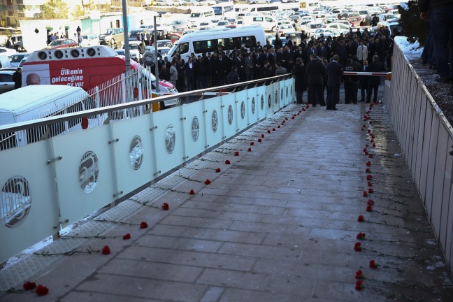 16-02/08/20160208_2_14169129_5273716