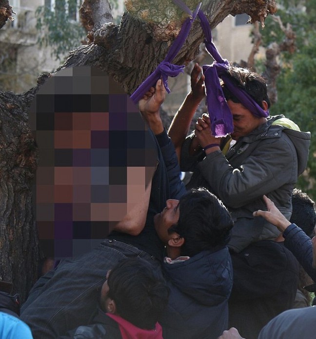 16-02/26/56cfff1ac03c0e6dd8f70822