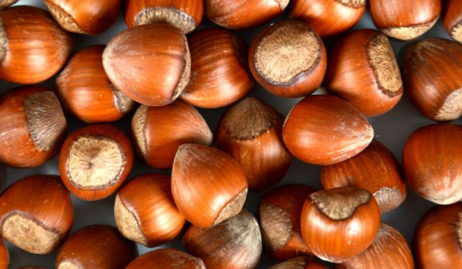 16-02/29/kabuklu-findik