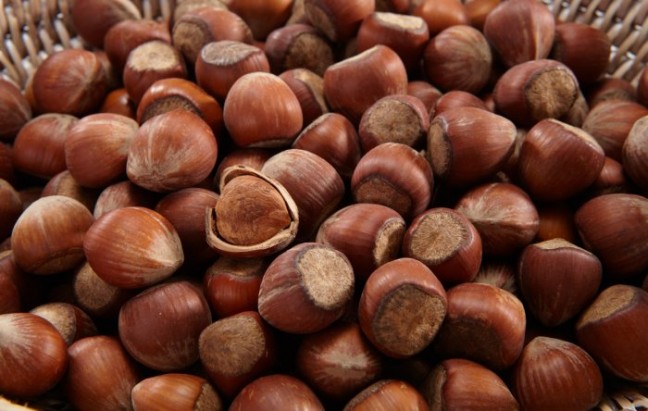 16-02/29/kabuklu-taze-findik