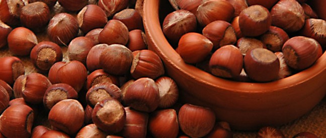 16-02/29/kabuklufindik-i