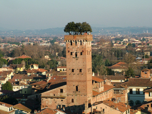 16-03/13/lucca-torre-guinigi