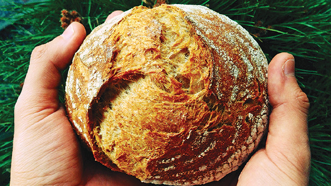 16-03/14/qaswd-1457920217