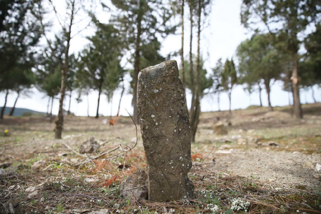 16-03/18/18kr14yenisehitlik2