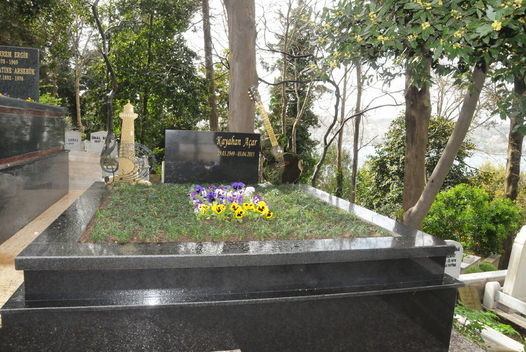 16-03/25/1214857_c565cd6ac4238c0c0b6850b8e05442e9