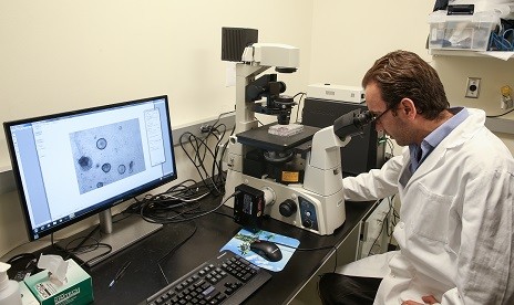 16-03/27/20160327_2_14970443_6686748