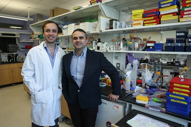 16-03/27/20160327_2_14970443_6686749