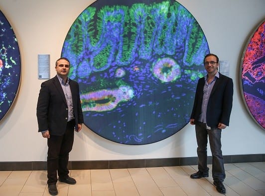 16-03/27/20160327_2_14970443_6686750