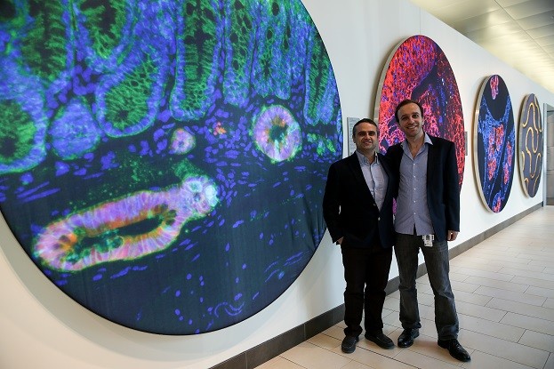 16-03/27/20160327_2_14970443_6686751