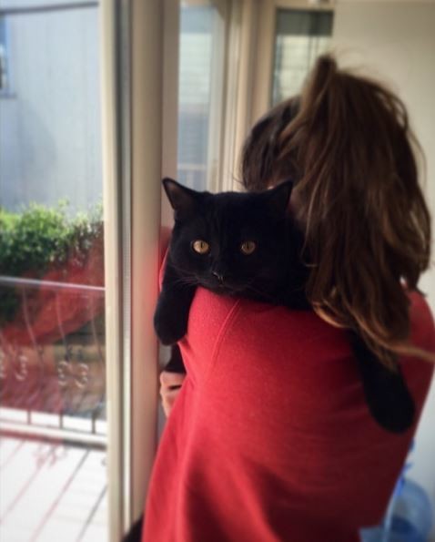 16-03/30/1459318329633