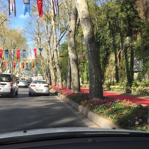 16-04/11/1223049_d82086a31bcd07e8d5f279374c0f0957