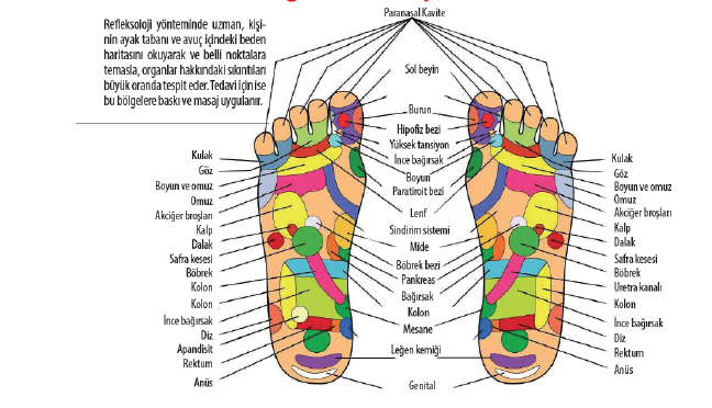 16-04/15/screen-shot-2016-04-15-at-231623