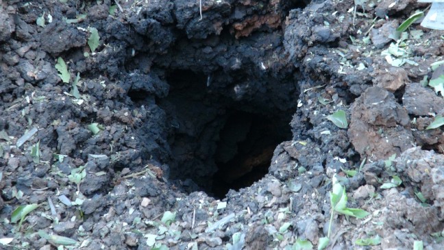 16-04/29/71962a11d9d824f0f7ff69ea1ec0ad08-1461912413