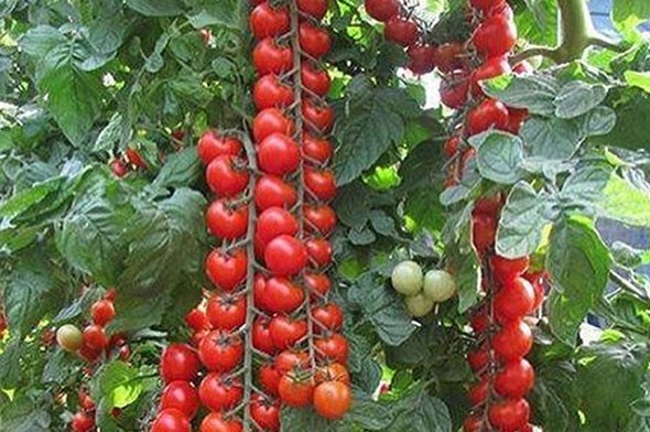 16-05/06/572c4183c03c0e1984d87c12